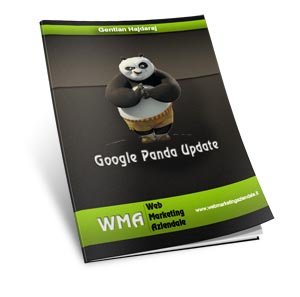 Google Panda Update - Ebook gratis